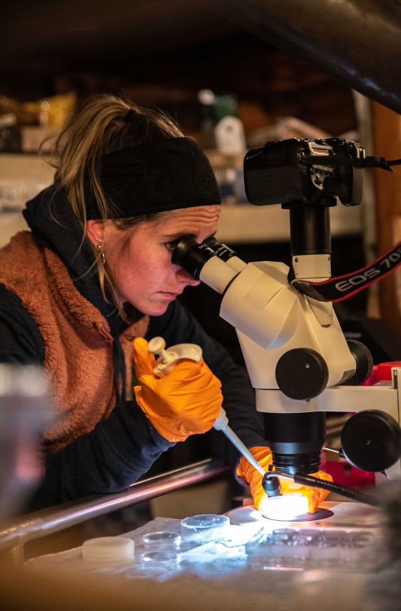 Natalia-Llopis-Monferrer---microscope