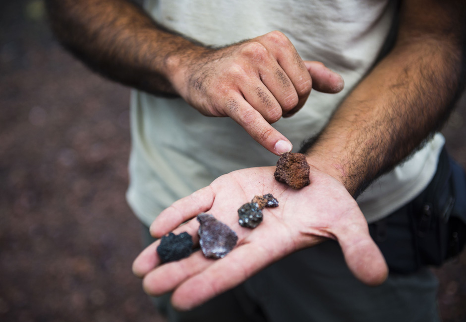 hand holding rocks